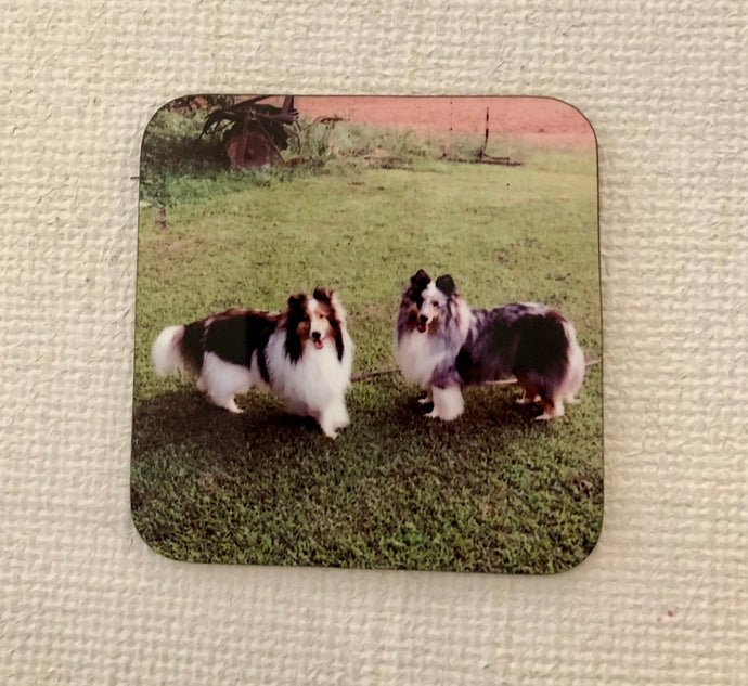 Set of 4 Photo Coasters